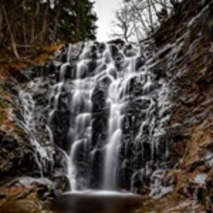 Meet your Posher, Wanda